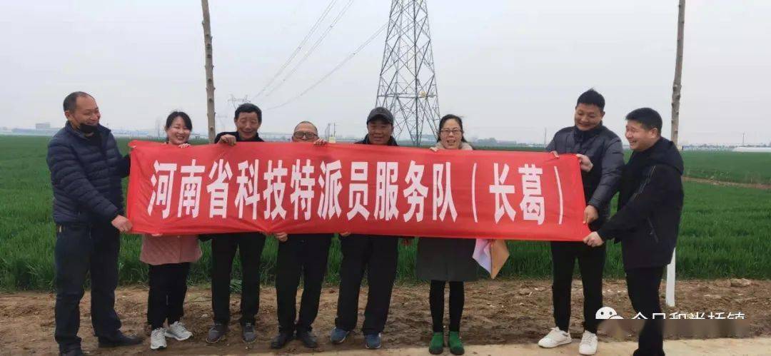 和尚桥镇最新发展动态及社区亮点新闻速递