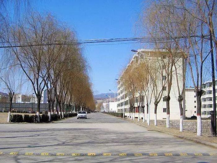 山西省大同市阳高县鳌石乡交通新闻更新，最新动态与进展